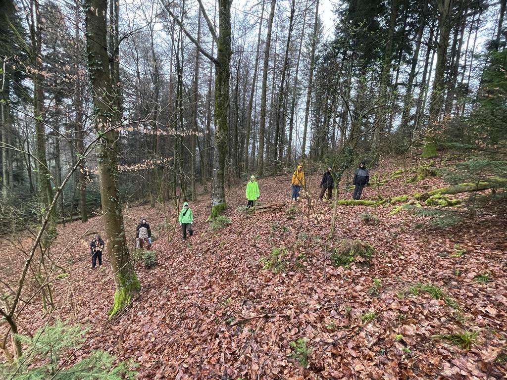 Begehung mit Studierenden im Grossholz