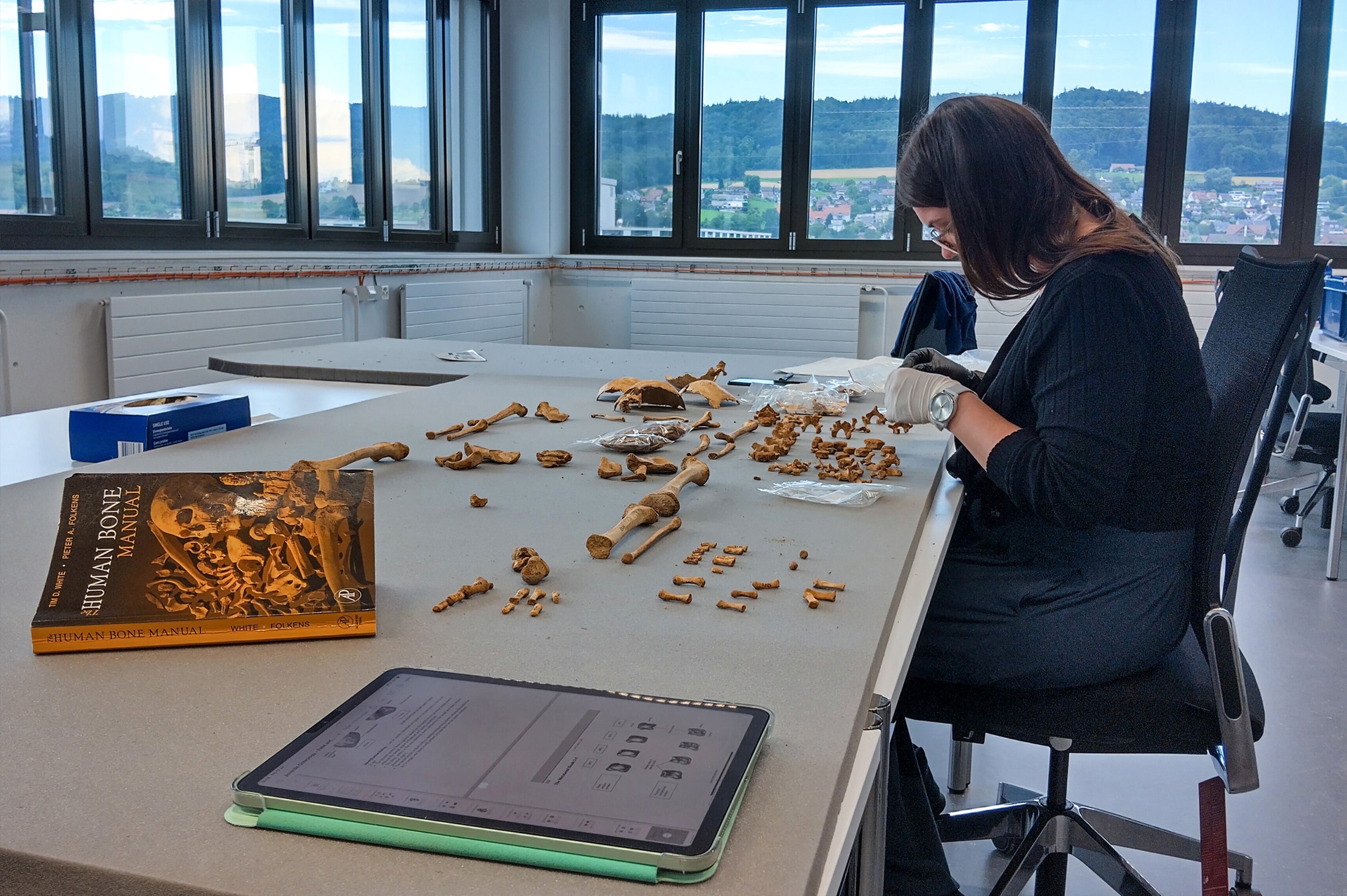 Anthropologische Untersuchung menschlicher Überreste aus dem Kanton Zürich im Rahmen einer Bachelor-Arbeit | Foto: Anto Goujon 2024